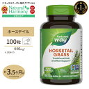 ネイチャーズウェイ ホーステイル (シリカ) 440mg ビーガンカプセル 100粒 Nature's Way Horsetail grass サプリメント ヘアケア 健康食品 栄養補助食品 アメリカ