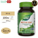 ネイチャーズウェイ ネトル (西洋イラクサ) 870MG カプセル 100粒 Nature's Way Nettle Leaf ダイエット 健康 植物 ハーブ