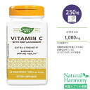 ネイチャーズウェイ ビタミンC 1000mg バイオフラボノイド配合 高濃度タイプ ビーガンカプセル 250粒 Nature's Way Vitamin C with Bioflavonoids アスコルビン酸 柑橘系