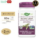 オリーブリーフ オレウロペイン20％ 250mg 60粒 サプリメント サプリ ポリフェノール 健康食品 Nature 039 s Way ネイチャーズウェイ アメリカ