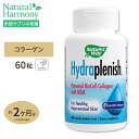 ネイチャーズウェイ ハイドラプレニッシュ (バイオセルコラーゲンII & MSM) 60粒 Nature's Way Hydraplenish Hyaluronic Acid PLUS MSM