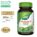 ネイチャーズウェイ ソーパルメット ベリー (ノコギリヤシ) 585mg 100粒 Nature's Way Saw Palmetto Berries サプリ 男性 1