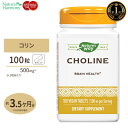 ネイチャーズウェイ コリン 500mg 100粒 Nature's Way Choline 500mg サプリ ビタミンB群 ダイエット