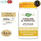 ネイチャーズウェイ コリン&イノシトール 500mg 100粒 Nature's Way Choline & Inositol 500mg サプリ ビタミンB群 ダイエット