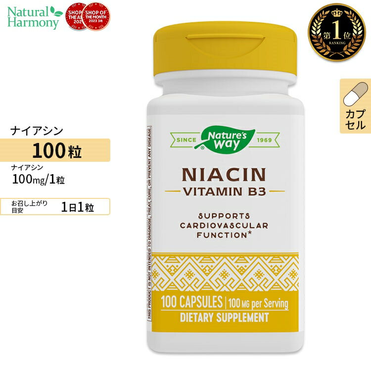 ナイアシン ビタミンB3 100mg 100粒 Nature s Way ネイチャーズウェイ 