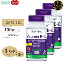 [3個セット] ナトロール ビタミンB-12 チュワブル 5000mcg 100粒 Natrol Vitamin B-12 Fast Dissolve Tablets Chewable ストロベリー味