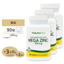 [3個セット] ネイチャーズプラス メガジンク (亜鉛) タイムリリース 100mg 90粒 タブレット NaturesPlus Mega Zinc ダイエット 健康 ミネラル その1