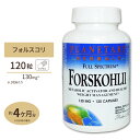 プラネタリーハーバルズ フォルスコリエキス (フォースリーン フォースコリン20%) 130mg 120粒 カプセル Planetary Herbals 