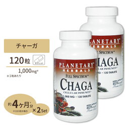 [2個セット] プラネタリーハーバルズ チャーガ 1000mg 120粒 タブレット Planetary Herbals キノコ 茸 カバノアナアタケ オーガニック ヘルスケア