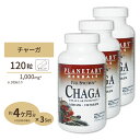 [3個セット] プラネタリーハーバルズ チャーガ 1000mg 120粒 タブレット Planetary Herbals キノコ 茸 カバノアナアタケ オーガニック ..