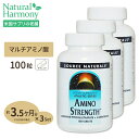  ソースナチュラルズ アミノストレングス (L-アルギニン & L-オルニチン配合) 100粒 タブレット Source Naturals Amino Strength 100tablets