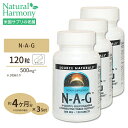 [3個セット] ソースナチュラルズ N-A-G N-アセチルグルコサミン 500mg 120粒 Source Naturals N-A-G 500mg 120Tablets