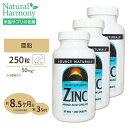 3個セット ソースナチュラルズ 亜鉛 50mg 250粒 Source Naturals Zinc 50mg 250Tabletsサプリメント 亜鉛 ダイエット 健康サプリ ミネラル類 亜鉛配合