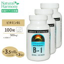 ソースナチュラルズ B-1 (マグネシウム配合) 500mg 100粒 Source Naturals B-1 High Potency 500mg 100Tablets サプリメント サプリ ビタミンB1 チアミン 健康食品 ソースナチュラルズ アメリカ