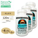  ソースナチュラルズ ギムネマシルベスタ ウルトラポテンシー 550mg 120粒 Source Naturals Gymnema Sylvestre 550mg 120Tablets