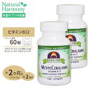 [2個セット] ソースナチュラルズビーガントゥルー メチルコバラミン (ビタミンB12) 1mg (1000mcg) 60粒 Source Naturals Vegan True Methylcobalamin 1mg 60Tablets