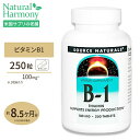 ビタミンB1 100mg 250粒 タブレット Source Naturals (ソースナチュラルズ)