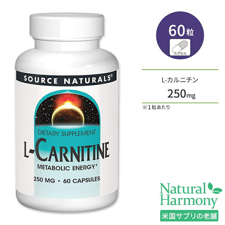 \[Xi`Y L-Jj` 250mg 60 JvZ Source Naturals L-Carnitine Tvg A~m_ N T|[g [NAEg _CGbgT|[g ^ g[jO {fBPA