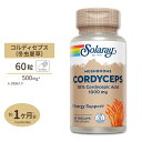 ソラレー 冬虫夏草エキス 500mg カプセル 60粒 Solaray Cordyceps Extract VegCap