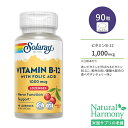 ソラレー ビタミンB-12 1,000mcg 天然チェリー味 トローチ 90粒 Solaray Vitamin B-12 1000mcg 葉酸