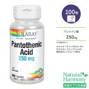 ソラレー パントテン酸 アロエベラ配合 250mg カプセル 100粒 Solaray Pantothenic Acid ビタミンB5 水溶性ビタミン