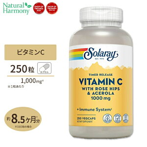 ソラレー ビタミンC ローズヒップ&アセロラ サプリメント 1000mg 250粒 Solaray Vitamin C with Rose Hips & Acerola 2段階タイムリリース型