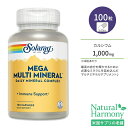 ソラレー メガ マルチミネラル カプセル 100粒 Solaray Mega Multi Mineral カルシウム マグネシウム