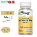 2段階タイムリリース型 ビタミンB6 100mg 60粒