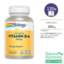 ソラレー 2段階タイムリリース ビタミンB-6 100mg ベジタリアンカプセル 120粒 Solaray Vitamin B6 Timed-Release ピリドキシン