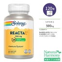 ソラレー リアクタC&バイオフラボノイド 500mg ベジカプセル 120粒 Solaray Reacta-C & Bioflavonoids 徐放型ビタミンC アスコルビン酸 バイオフラボノイド シトラス アセロラチェリー