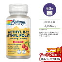 \[ ` r^~ B-12 5000mcg / ` t_ 800mcg 60 `Au `F[t[o[ Solaray Methyl B-12 & Methyl Folate Cherry 60 Lozenges Tvg r^~B B12 `F[ 