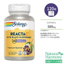 ソラレー リアクタ-C&エルダーベリー 500mg ベジカプセル 120粒 Solaray Reacta-C & Elderberry 徐放型ビタミンC アスコルビン酸 バイオフラボノイド ポリフェノール ローズヒップ アセロラチェリー