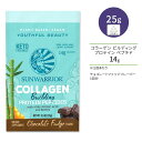 TEH[A[ R[Q rfBO veC yv`h `R[gt@bW 1 25g (0.9 oz) Sunwarrior Collagen Building Protein Peptides Chocolate Fudge A r[KR[Q