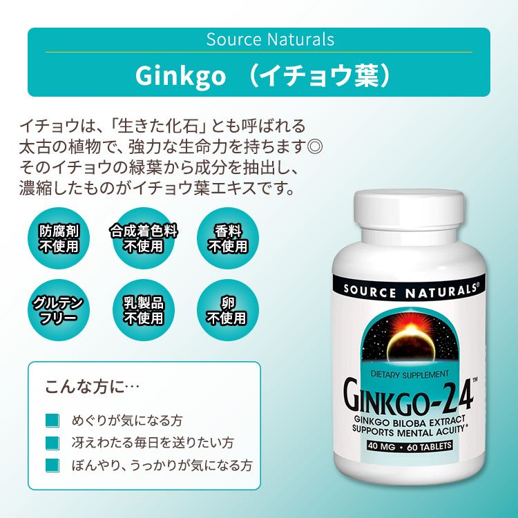 ソースナチュラルズ ギンコ24 40mg タブレット 60粒 Source Naturals Ginkgo-24 Tablets イチョウ葉 銀杏 イチョウ葉エキス フラボノイド 2