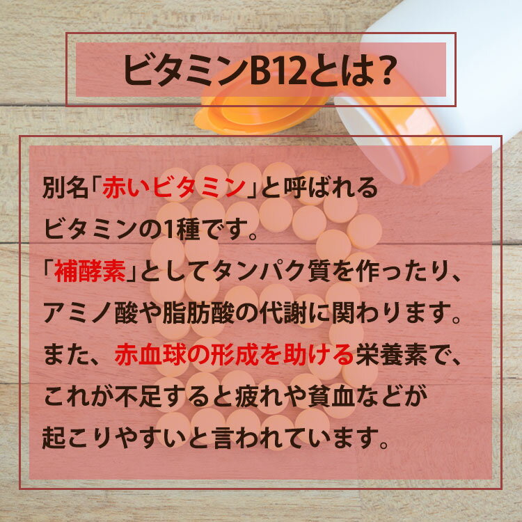 ソースナチュラルズ メチルコバラミン (ビタミ...の紹介画像3