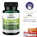 󥽥 Хå 400mg 60γ ץ Swanson Full Spectrum Sea Buckthorn ץ...