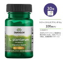 スワンソン ラクトバチルス プランタラム プロバイオティクス ベジタリアンカプセル 30粒 Swanson L. Plantarum Probiotic 乳酸菌