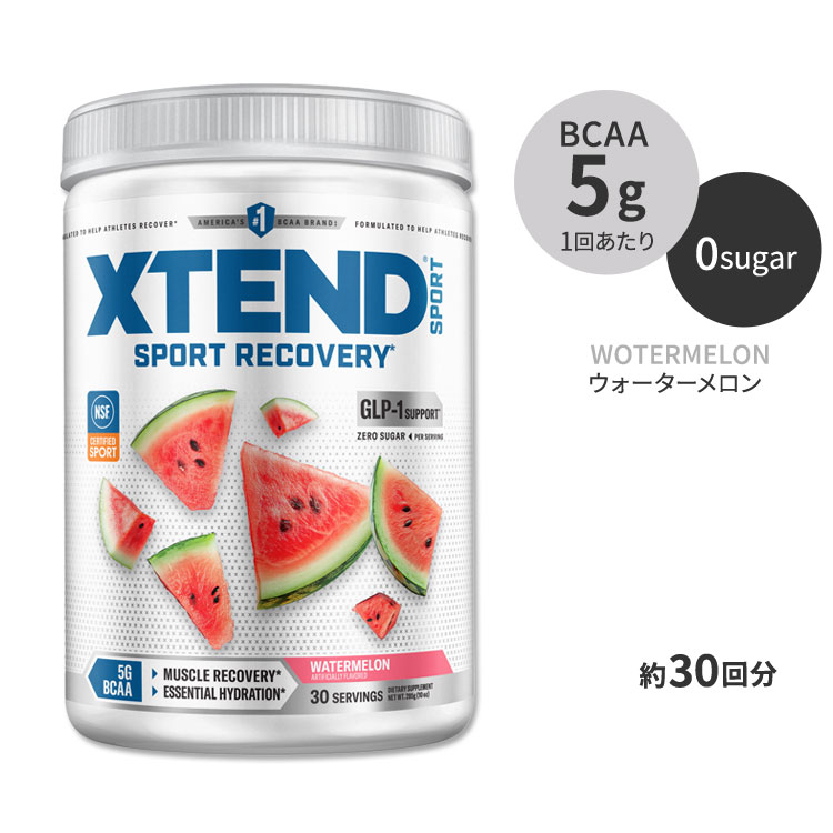 エクステンド BCAA ウォーターメロン味 パウダー 284
