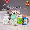 【最大1000円OFFクーポン】【25周年記念セット】レビュー数が多いものを集めたパーフェクトスメルセット ラヴィリン 脇用デオドラント 足用デオドラント ボディミント セラブレスオーラルケアリンス