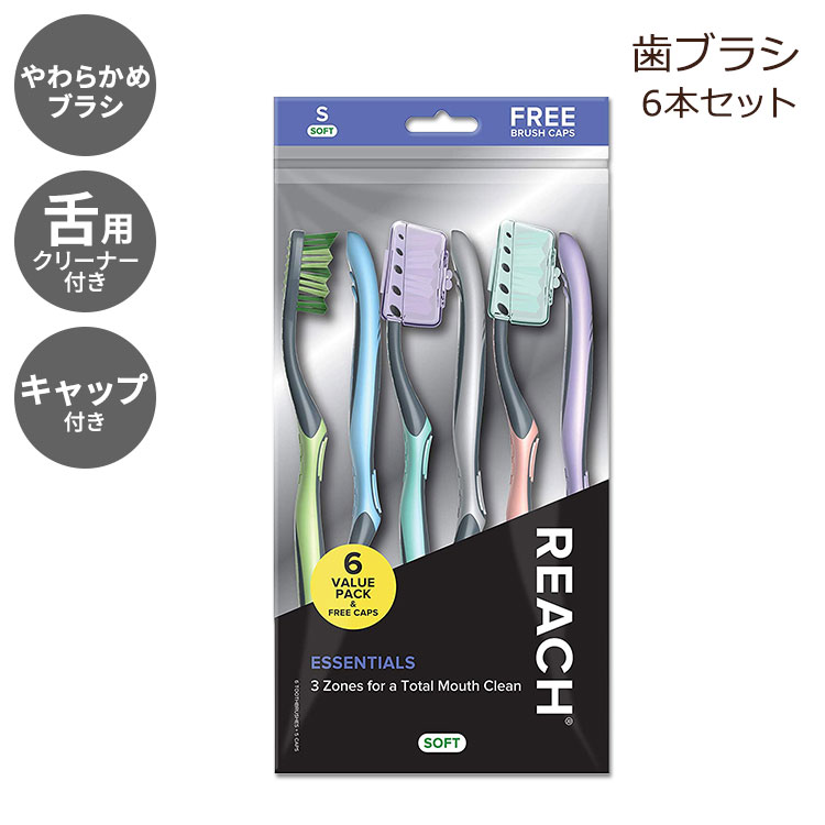 [` uV lp \tg Lbvt 6{Zbg REACH Essentials Toothbrush and Brush Caps
