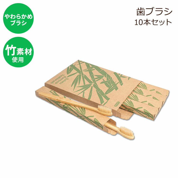 バンブー 歯ブラシ 大人用 ソフト 10本セット エコ Daletu Bamboo Toothbrush 10 PCS Biodegradable Wooden Toothbrushes