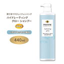 パンテーン ハイドレーティング グロー シャンプー 440ml (14.8floz) Pantene Nutrient Blends Hydrating Glow With Baobab Essence Shampoo プロビタミンB5 海外版