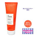 バス ボディワークス オレンジ ジンジャー アルティメイト ハイドレーション ボディクリーム 226g (8oz) Bath Body Works Orange Ginger Aromatherapy Ultimate Hydration Body Cream ビタミンE アロエ シアー ココアバター