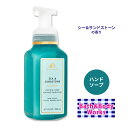 oX&{fB[NX V[&ThXg[ WFg&N[tH[~Onh\[v 259ml (8.75floz) Bath&Body Works Sea & Sandstone Gentle&Clean Foaming Hand Soap Ƃ r^~E 