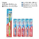 RQ[g GNXgN[ uV n[huV twbh Colgate Extra Clean Toothbrush Full Head Firm Brushes F