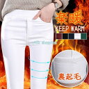 パンツ レディース 裏起毛 楽暖 あったか レギパン レギンス ストレッチ スキニーパンツ 吸湿 発熱 保湿 保温 冷え対策 防寒