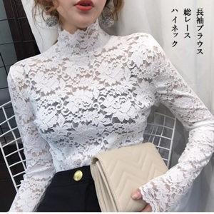 Ĺµ�֥饦�� ��ǥ����� ĹµT����� �졼���֥饦�� �ٿ� �����ȥ�ͥå� ������� �����奢�� �̶� �ե����ޥ� ���ե��� �Ż� ��ʪ ����