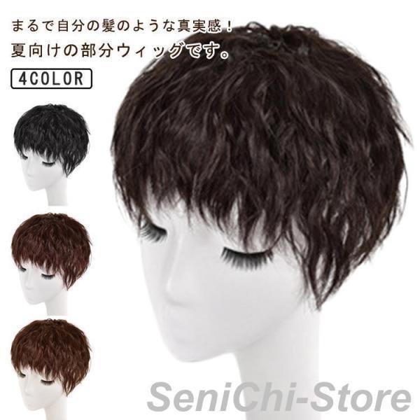 樂天商城 - 部分ウィッグ トップカバー クリップ式 部分ウィッグ ウィッグ ヘアピース ポイントウィッグ 自然 ウェーブ かつら ナチュラル つむじ付き 4カラー