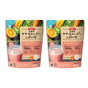 2袋セット サラヤ ラカント 低糖質ケアスムージー ビューティー 160g 大阪倉庫