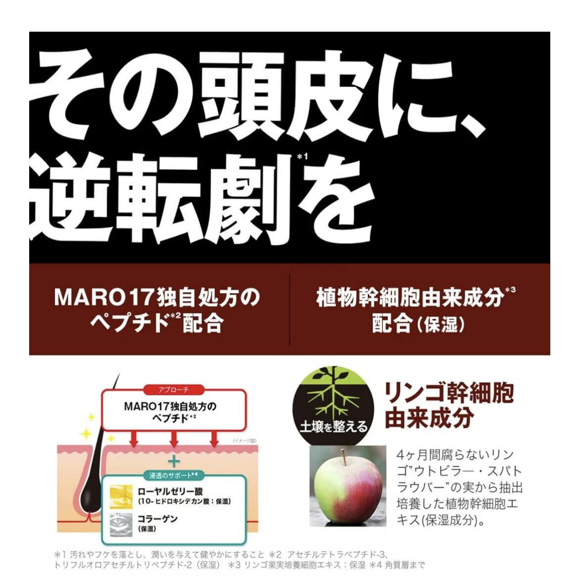 MARO17 頭皮用エッセンス コラーゲン ショット 無香料 50ml (約1ヶ月分) 愛知南倉庫 harmonywoods-10003105 めぐりの杜 サンプル画像3